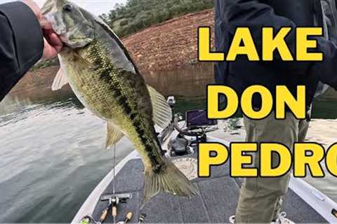 Can we Figure this Place out - Lake Don Pedro Pre Fishing