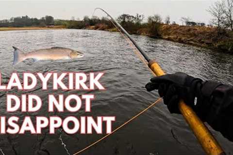 Ladykirk did NOT disappoint | River Tweed Spring Salmon Fishing 2025