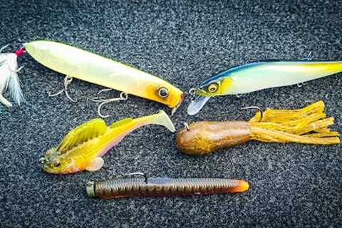 Early Fall Bass Fishing! (Finesse Baits And Big Smallmouth)