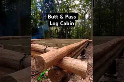 BEST Log Cabin Build for BEGINNERS!?!? #logcabin #offgrid #homestead #adirondacks #diy