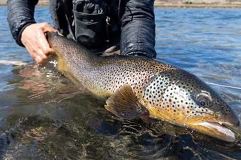 Remote Fly Fishing Trip in Iceland - Where No One Else Goes to Fish