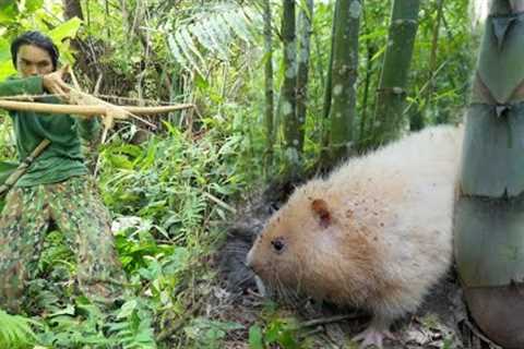 Bamboo Rat Burrowing Skills, Survival in the Wild, Building a Farm Life, ALONE SURVIVAL