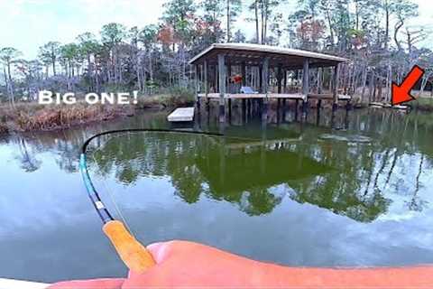 Solo Fishing under these Backyard Boat Docks and Marshes for my DINNER!...[Catch,Clean,Cook]