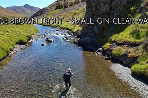 Huge Brown Trout in Gin-Clear Water - Fly Fishing Dry Flies for Browns in PRIME Summer Conditions