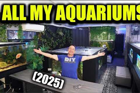 ALL MY FISH TANKS! FULL AQUARIUM GALLERY TOUR   THE KING OF DIY