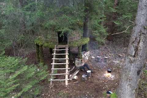 Building a Treehouse on Stilts Unique Survival Shelter