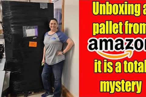 Unboxing an amazon Pallet of Mystery Items I paid $1,000.00 For it! will i make money?
