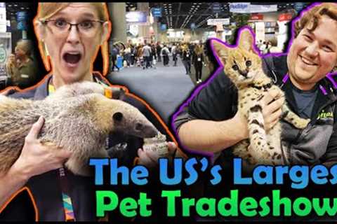 We went to the Global Pet Expo!