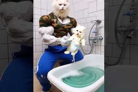 The Kitten's Mess: 🐱💧 Digging Trouble and a Soaked Clean-Up 🌊🛁#cattales #catfunny #animation#cat