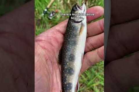 Fishing in a Town with No Cell Signal