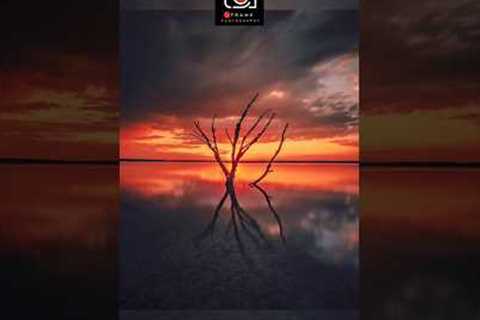 Photography hack & Tricks #shorts #shortvideo #shortsfeed #viralvideo #trending #foryou..