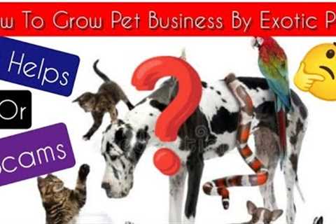 How Exotic Pets Contribute To The Growth 📈 of Pet Industry📌 Satisfied Pet Lover &amp; Profitable..