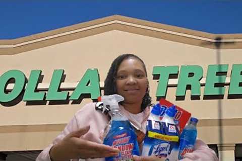 Dollar Tree Cleaning Supplies Haul: Affordable Finds &amp; Must-Haves