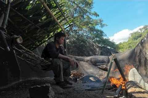 3 days building a shelter Survival finding food in the forest - survival skills