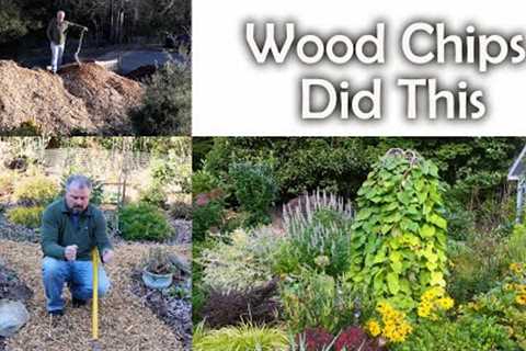 Wood Chips Quickly Changed My Soil - Organic Gardening