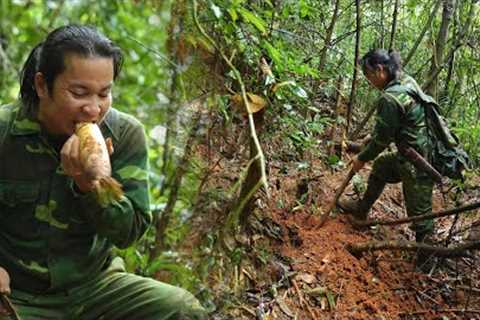 Harvesting Bamboo Shoots on Cold Rainy Days, Growing Luffa: River Survival | EP.438