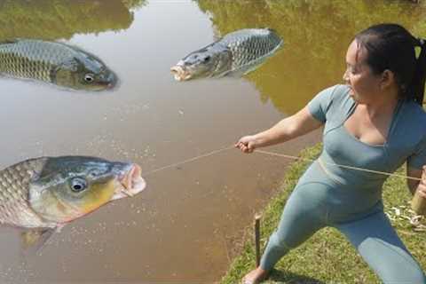Top Fishing Videos: Survival Skill - Build Fish Traps Catch Big Fish - Survival Fishing