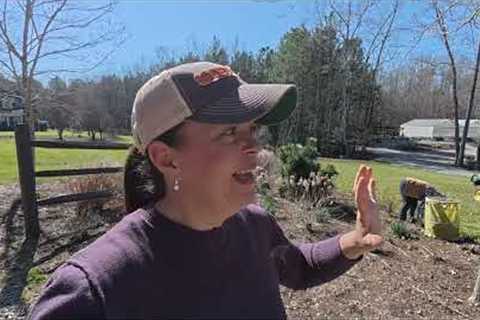 Garden Pruning Made Easy with Mimi