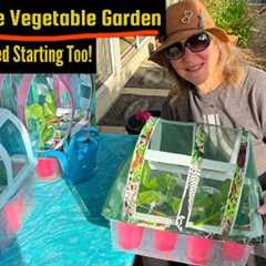 $3 Mini GARDEN DIY w/Pest Cover, Green House Protect Seeds & Plants Container Gardening Small..