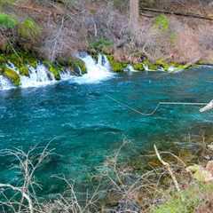 Fly Fishing for some of the coolest fish on the planet! (Bull Trout Pt. 1)