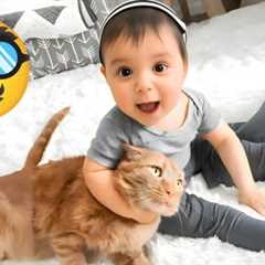 Baby Funny video 📸 | Cute chubby 😍