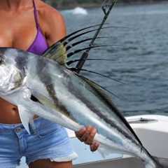 Catching Roosterfish fishing in paradise