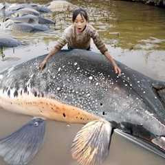 The Poor Girl's Fish-Catching Method Will Blow Your Mind: Survival Skills From the Wild