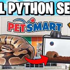 Ball Python Setup for Beginners