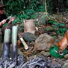 2 days of survival in the forest, meeting baby birds, snakes, catching fish, getting bamboo shoots