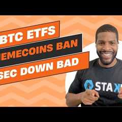 BTC ETFs, Memecoin Bans, SEC Down