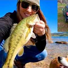 Solo SUV Camping | Fishing At Folsom Lake (Bass Fishing)