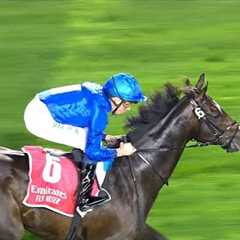 RULING COURT impresses at Meydan