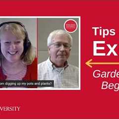 Tips from an Expert: Gardening for Beginners