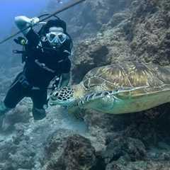 My First Scuba Dive at Maldives (Villa Nautica, Paradise Island)