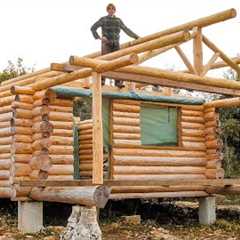 I Finished Building the Roof Structure on my LOG CABIN & Off Grid Pizza Cooking | EP18