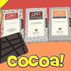 Cococlectic DAR Chocolate Monthly Subscription Box