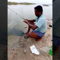 Catching Tasty Fishes with Secret Fish Food #fishing #fishingvideos #thoondilulagam #lakefishing