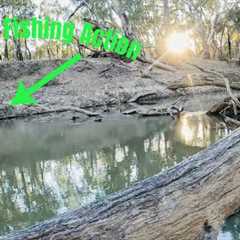 Topwater Surface Fishing Action - Chasing Murray Cod