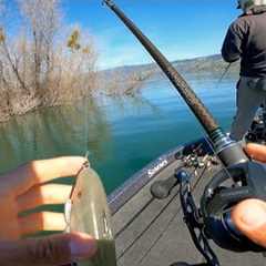 Tough Fishing, Great Company on Clear Lake