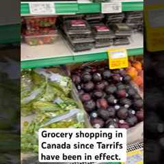 Grocery shopping in Canada since tariffs have taken effect. ￼#tarrifs #trump #canada #pov #life