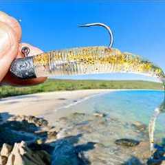 Fishing the Rocks for Food