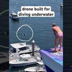 This Drone Is A Professional Cliff Diver 🤿