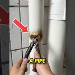 Fix Your Broken Pipe in Minutes ✅