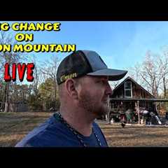 WHAT A DIFFERENCE tiny house homesteading off-grid cabin build DIY HOW TO sawmill tractor tiny cabin