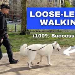 Train ANY Dog to Walk on a Loose Leash (Stop Leash Pulling)