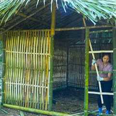 90 Days Solo Survival – Building & Thriving in a Bamboo House in the Wild