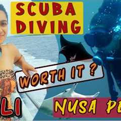 SCUBA DIVING in most BEAUTIFUL ISLAND Nusa Penida 🏖⛵️🛳🤿Bali  Trip Ep 4 |  Best Bali Travel vlog