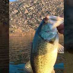 Lake Perris Bass Fishing: 6th Bass of the day! #lakeperrisfishing #winterbass #zmanfishingproducts