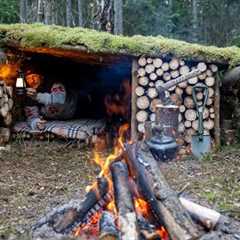 Built a secret shelter near fallen trees. Bushcraft in the wild forest. Survival skills in the wild!