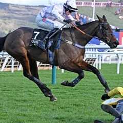 GOLDEN ACE lands dramatic Champion Hurdle as CONSTITUTION HILL & STATE MAN fall